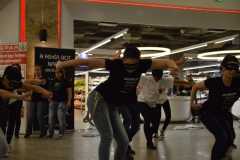 Flashmob 2013 